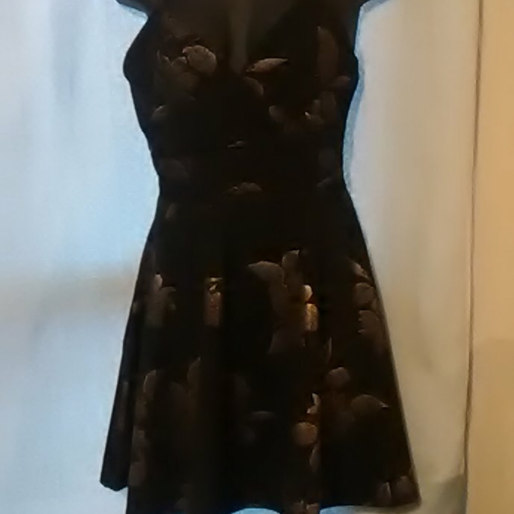 Skater dress